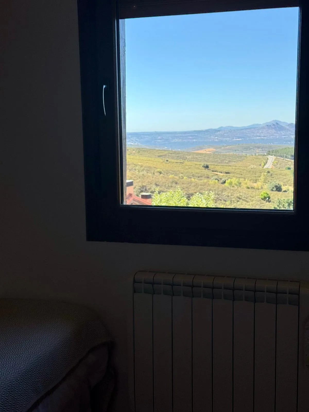 WhatsApp Image 2026-01-22 at 18.37.20333