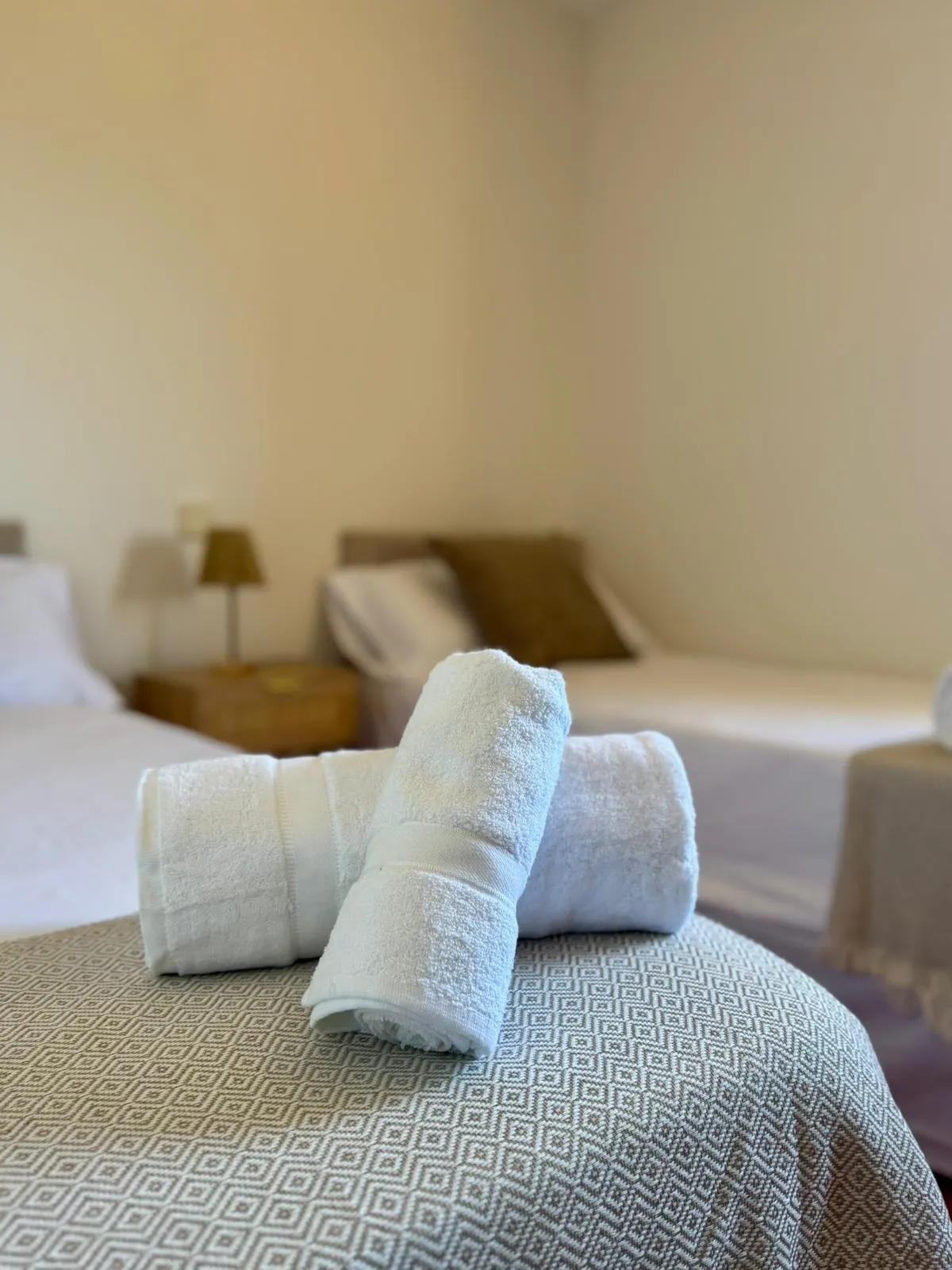 WhatsApp Image 2026-01-22 at 18.37.27333